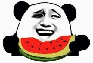 吃瓜群众的吃瓜是指吃啥,揭秘“吃瓜群众”的神秘瓜果世界