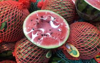 上海吃瓜群众故事,吃瓜群众的欢乐时光