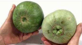 孕早期吃脆瓜,营养美味两不误