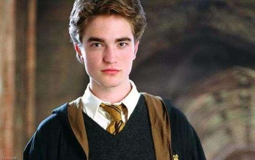 吃瓜罗伯特张康乐,揭秘娱乐圈的欢乐与争议