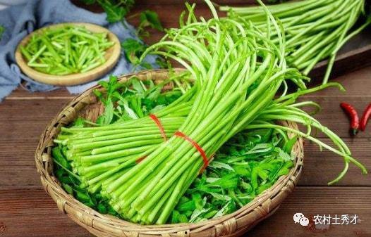 肝癌可以吃蒿瓜吗,肝癌患者食疗新选择